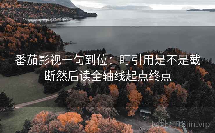 番茄影视一句到位：盯引用是不是截断然后读全轴线起点终点