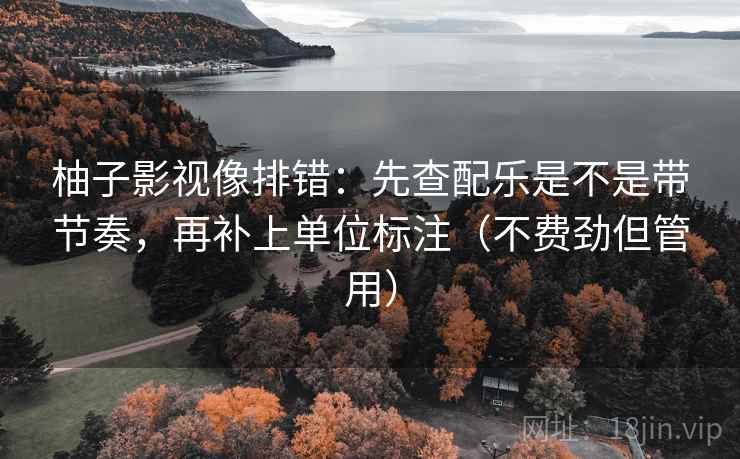 柚子影视像排错：先查配乐是不是带节奏，再补上单位标注（不费劲但管用）