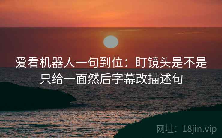 爱看机器人一句到位：盯镜头是不是只给一面然后字幕改描述句